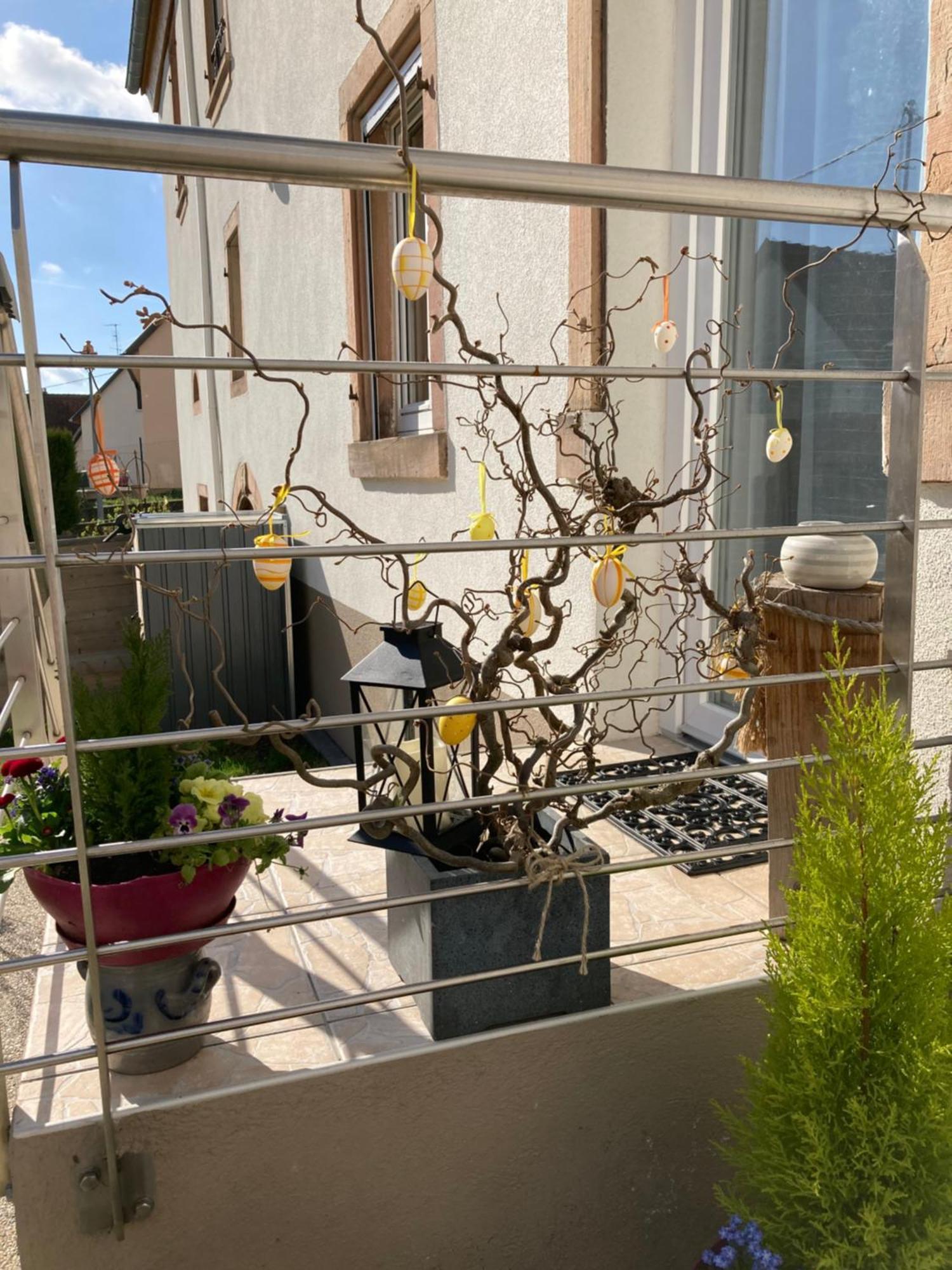 Gite Le 1602 Saint-Nabor Exterior foto