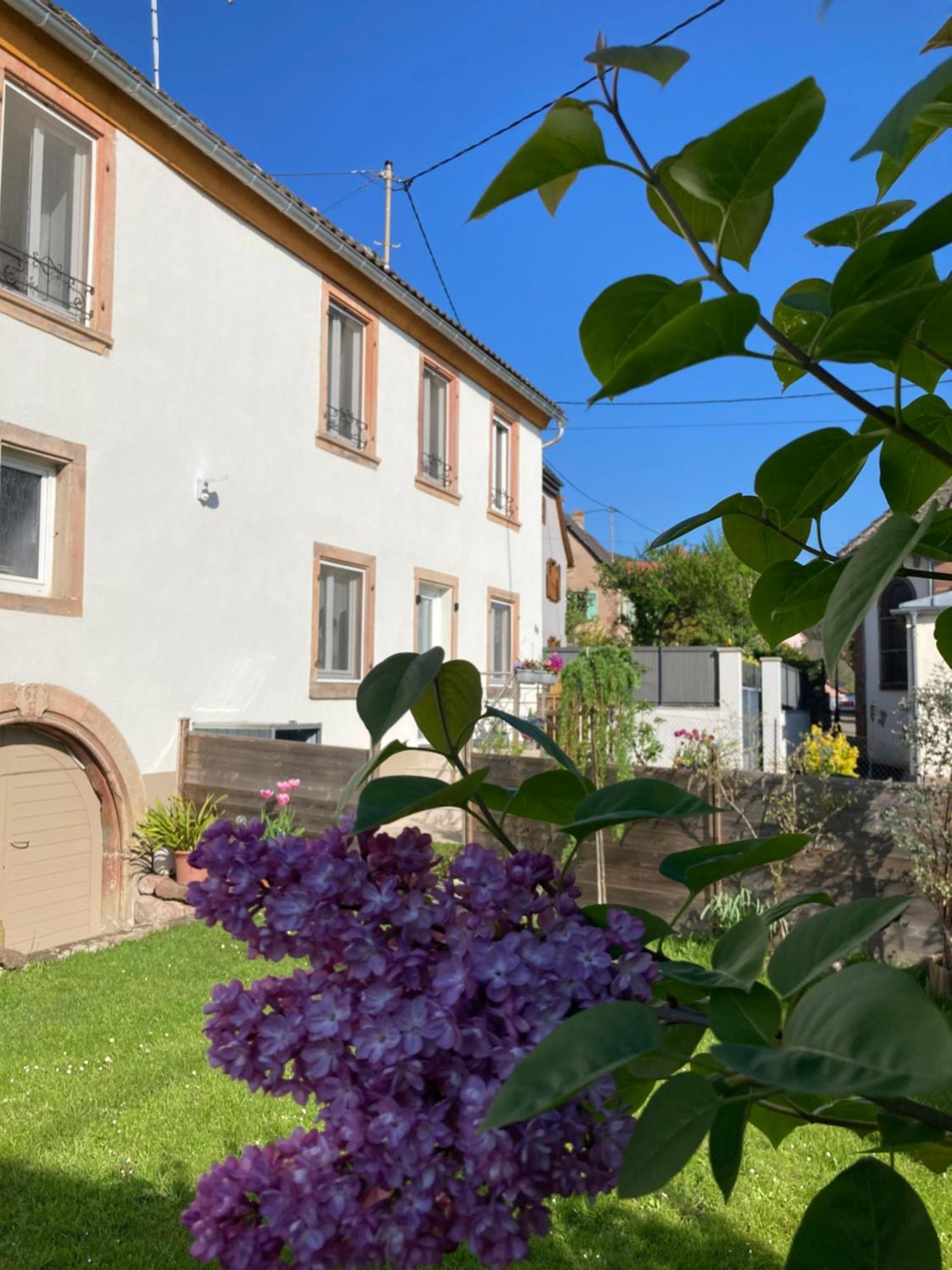 Gite Le 1602 Saint-Nabor Exterior foto