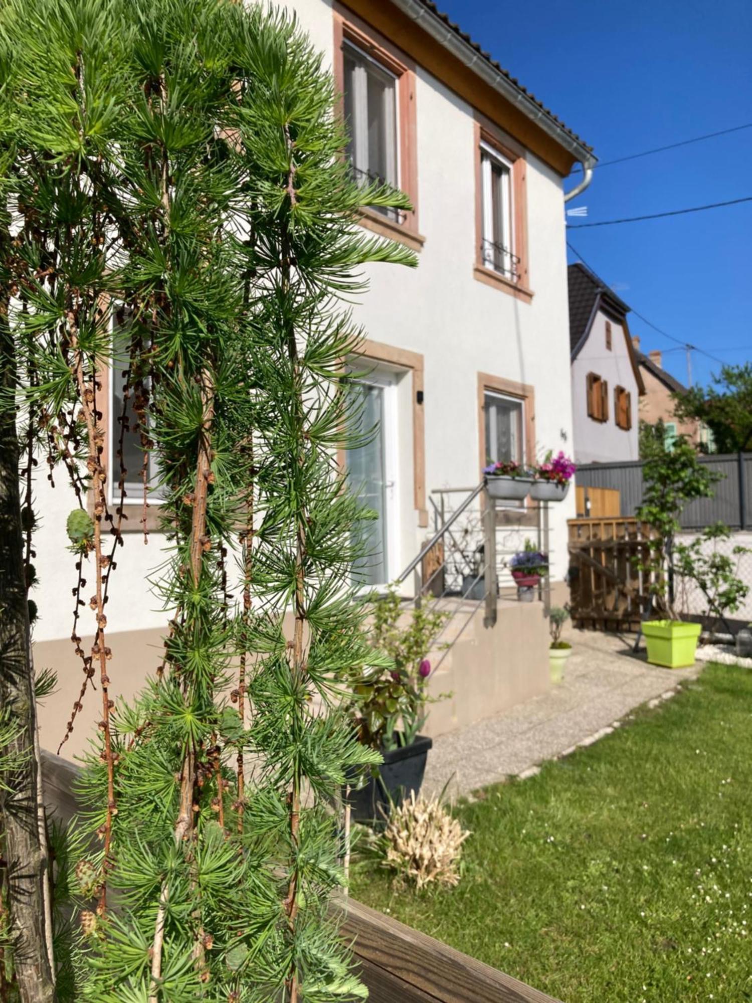 Gite Le 1602 Saint-Nabor Exterior foto